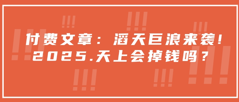 付费文章：滔天巨浪来袭！2025天上会掉钱吗？-IC网盘资源库