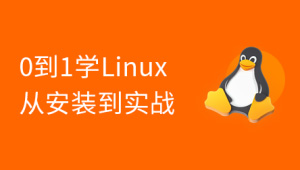 Linux 0基础手把手（安装部署+项目实战）