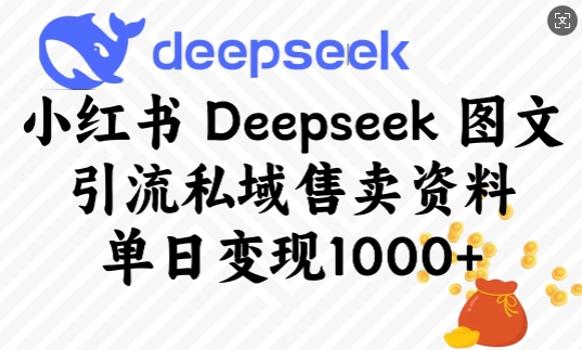 小红书Deepseek图文引流私域售卖资料，单日变现多张