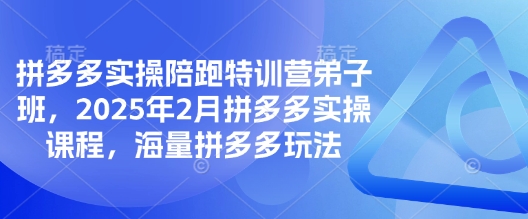 拼多多实操陪跑特训营弟子班，2025年2月拼多多实操课程，海量拼多多玩法